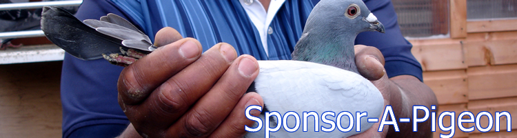 One member of Almondbury Methodist Church, with pigeons to be sponsored